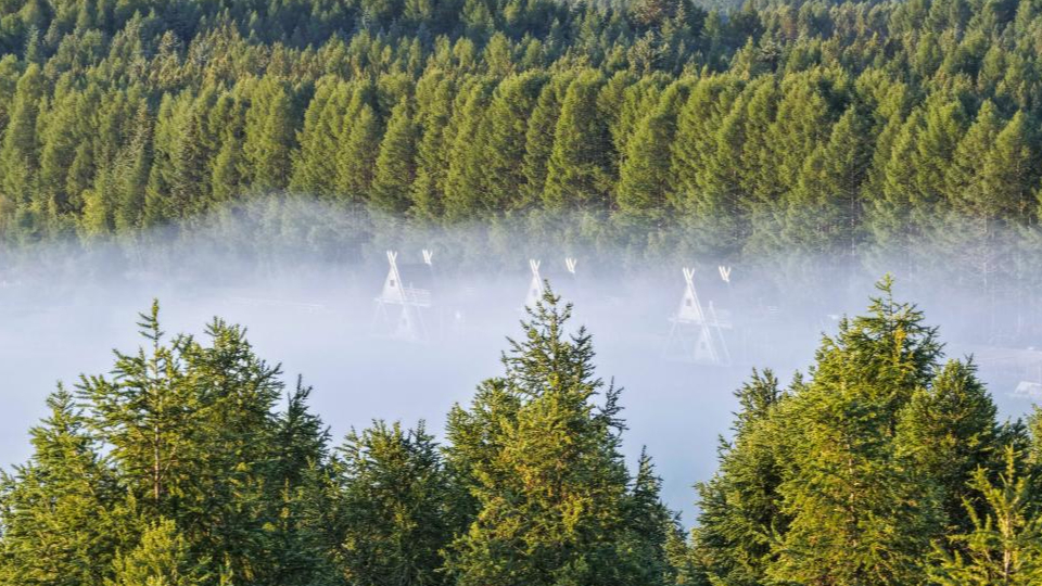 新華鮮報 | 春已至！“植”綠山河