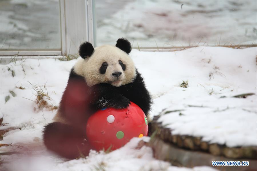 XINHUA PHOTO WEEKLY CHOICES