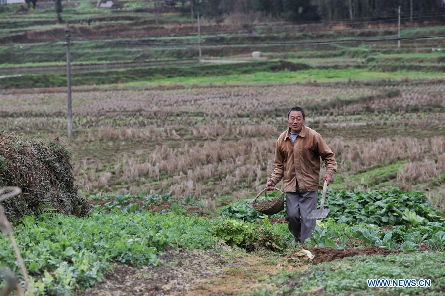 CHINA-JINGZHE-FARM WORK (CN)