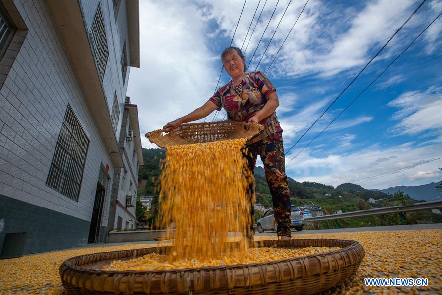 #CHINA-HARVEST (CN)