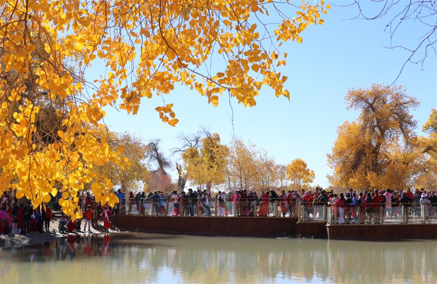 CHINA-INNER MONGOLIA-POPULUS EUPHRATICA-SCENERY (CN)
