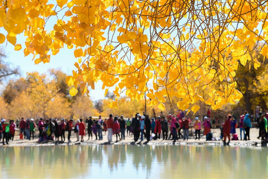 CHINA-INNER MONGOLIA-POPULUS EUPHRATICA-SCENERY (CN)