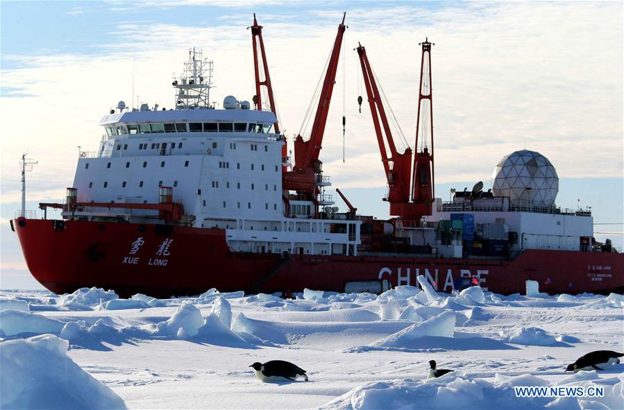 ANTARCTICA-XUELONG-ZHONGSHAN STATION-PENGUINS