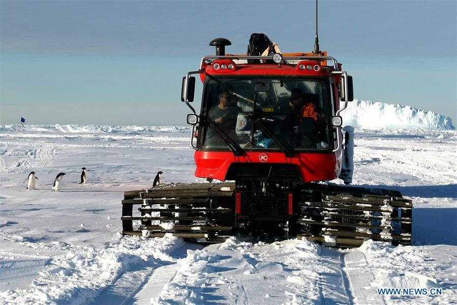 ANTARCTICA-XUELONG-ZHONGSHAN STATION-PENGUINS