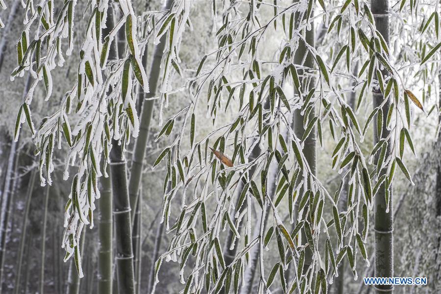 #CHINA-ANHUI-SNOW(CN)