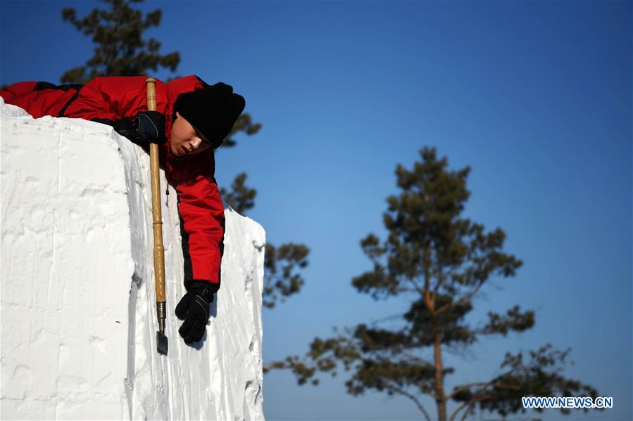CHINA-HEILONGJIANG-HARBIN-SNOW SCULPTURES-COMPETITION (CN)