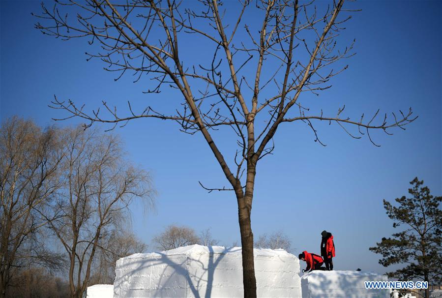 CHINA-HEILONGJIANG-HARBIN-SNOW SCULPTURES-COMPETITION (CN)
