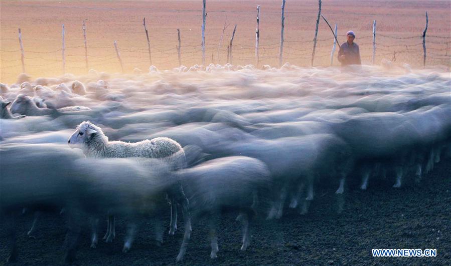 (年終報(bào)道)(3)2018年看大美中國(guó)