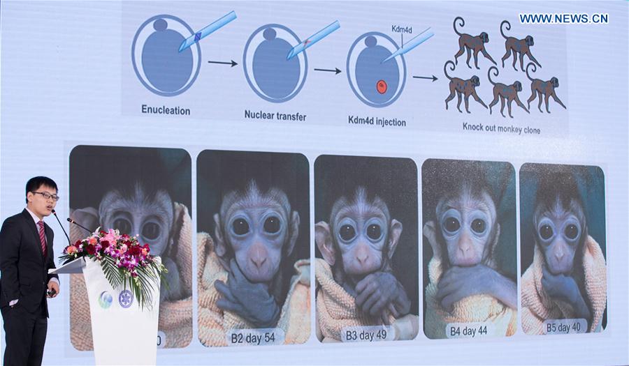 CHINA-SHANGHAI-GENE-EDITED MONKEYS (CN)