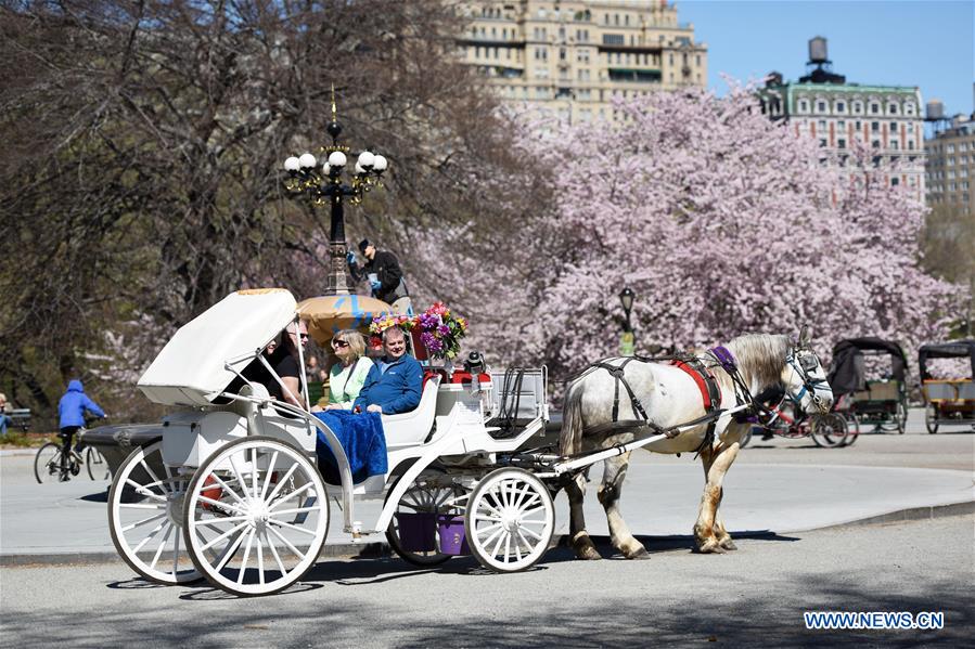 U.S.-NEW YORK-SPRING-SCENERY