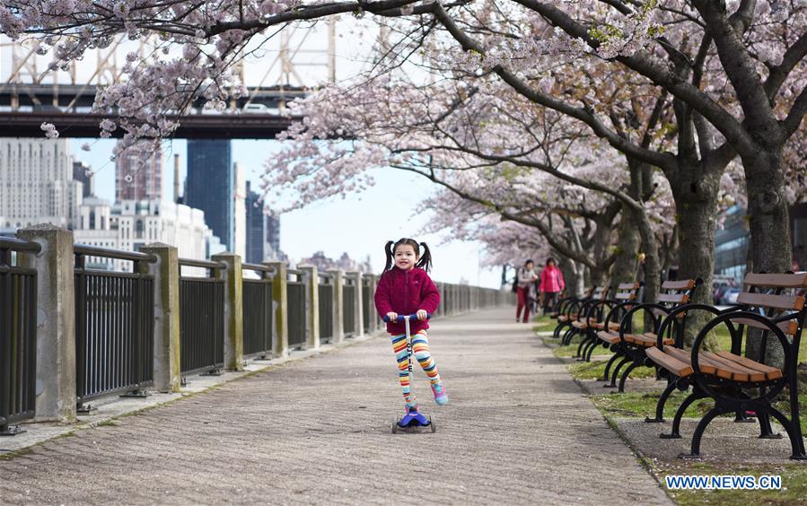 U.S.-NEW YORK-SPRING-SCENERY
