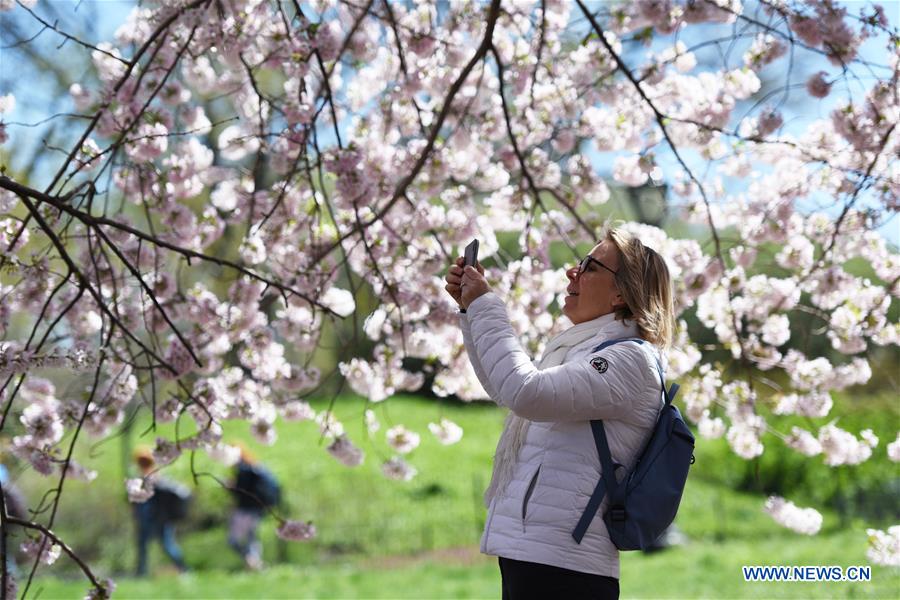 U.S.-NEW YORK-SPRING-SCENERY