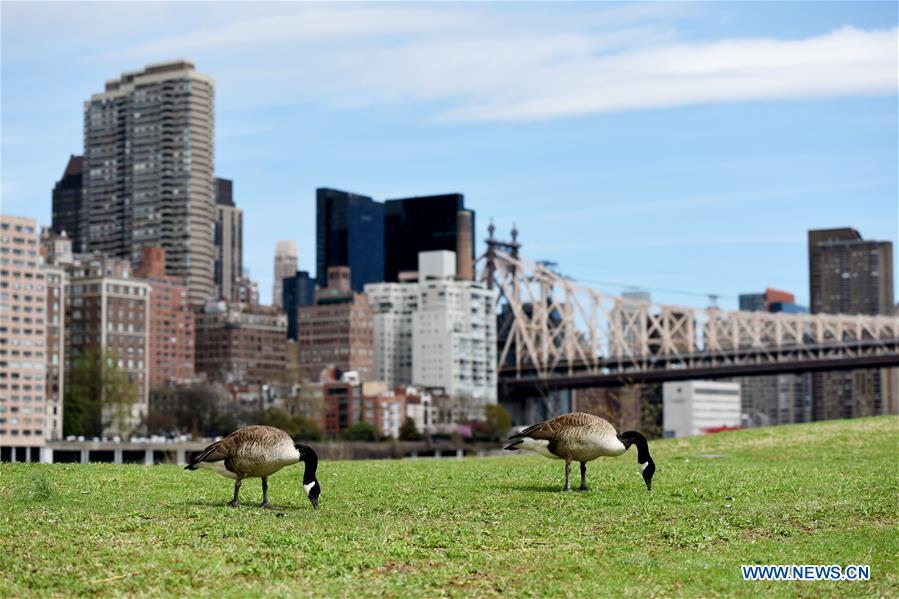 U.S.-NEW YORK-SPRING-SCENERY