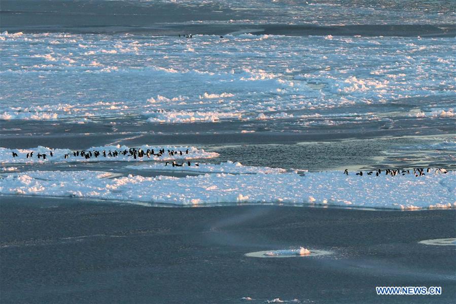 ANTARCTICA-PRYDZ BAY-XUELONG-EXPEDITION