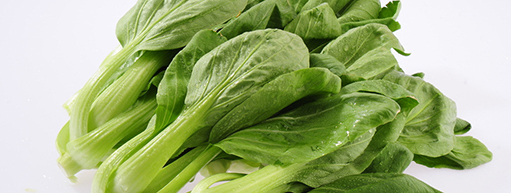 胡五岳:嚴(yán)把農(nóng)田到餐桌每一道防線(xiàn)