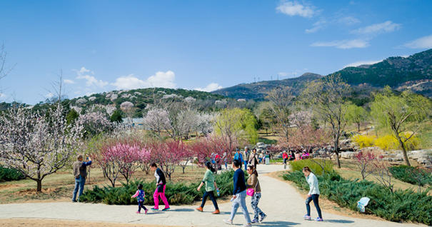 美到無法呼吸！&ldquo;西山晴雪&rdquo;攝影大賽來了