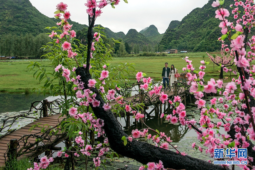 《桃花盛開的時候》