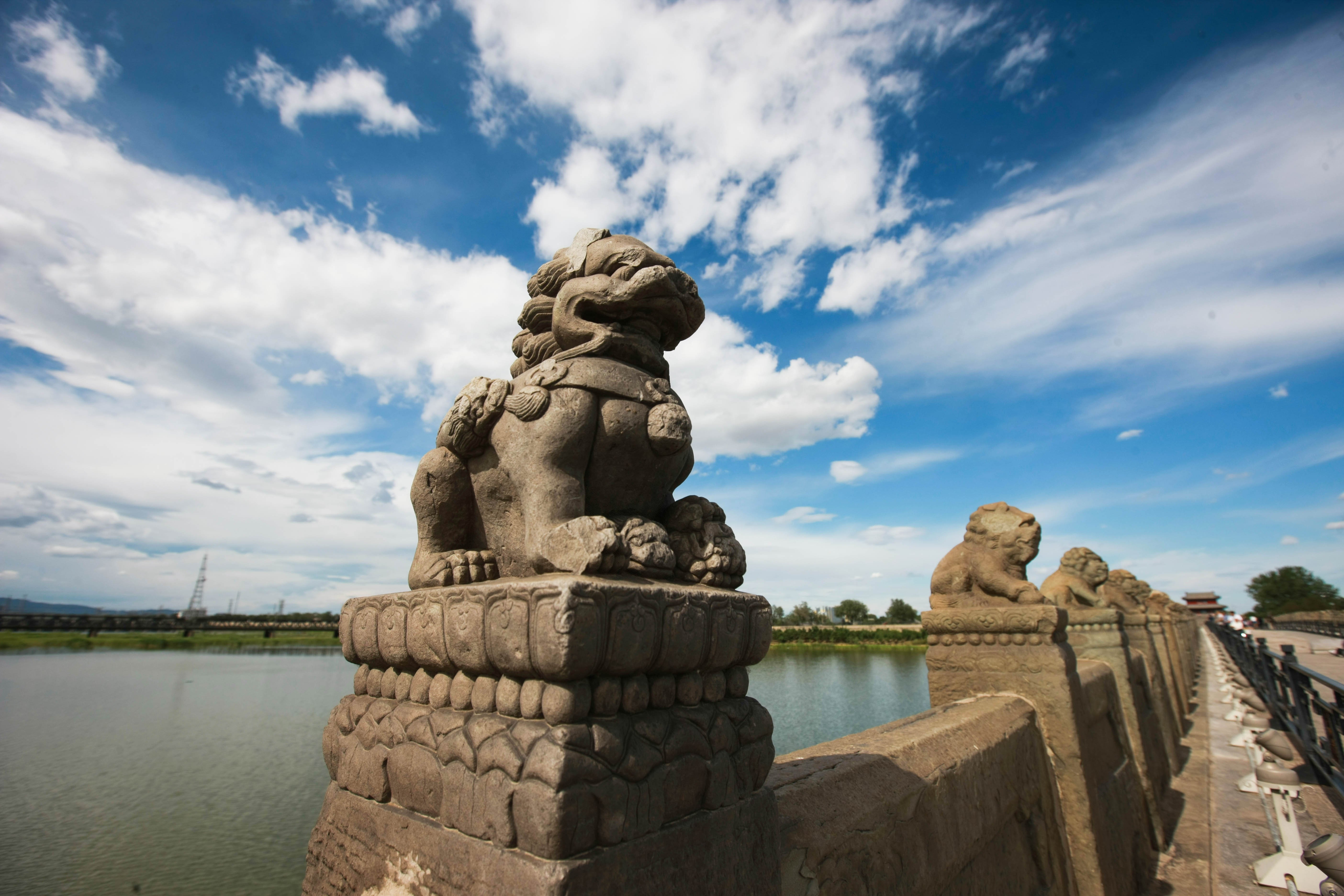 這些照片，來之不易