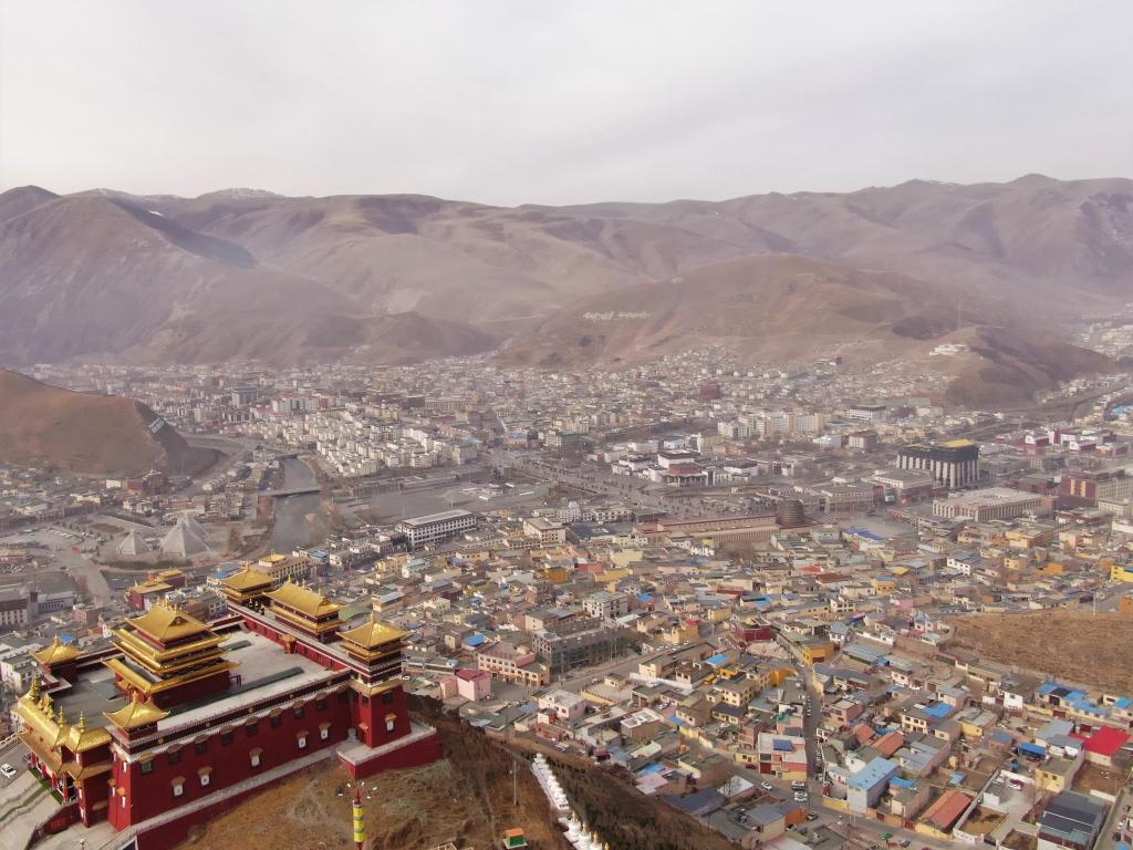 震后11年，玉樹正芳華