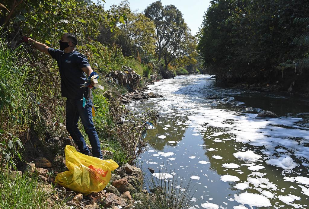 世界地球日:南非志愿者在行動(dòng)