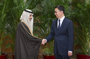 韓正集體會見阿拉伯、伊斯蘭國家外長聯(lián)合代表團(tuán)