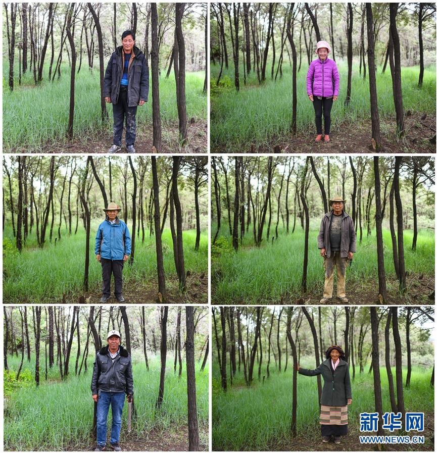 (十九大·讀報(bào)告 話(huà)民生)(9)加快生態(tài)文明體制改革,建設(shè)美麗中國(guó)