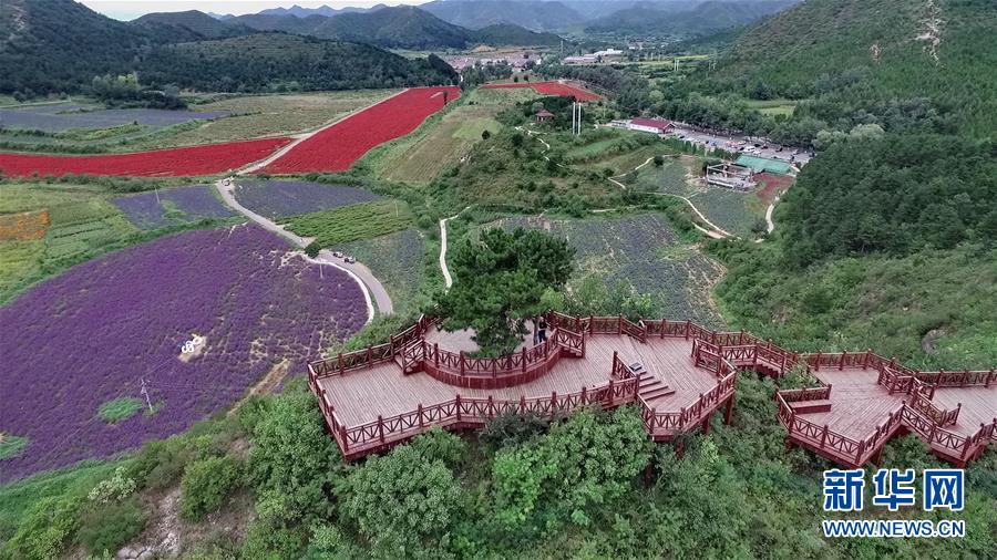 （十九大&middot;讀報告 話民生）（10）加快生態(tài)文明體制改革，建設美麗中國