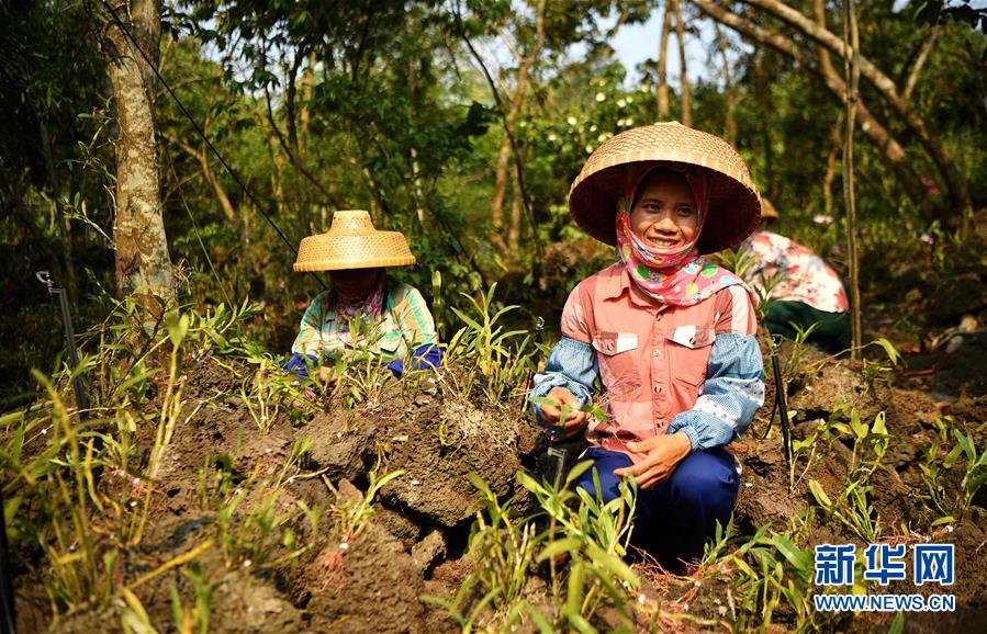 (新媒體專線)(6)立足獨(dú)特優(yōu)勢(shì) 勇立改革潮頭——習(xí)近平總書記在海南考察回訪記