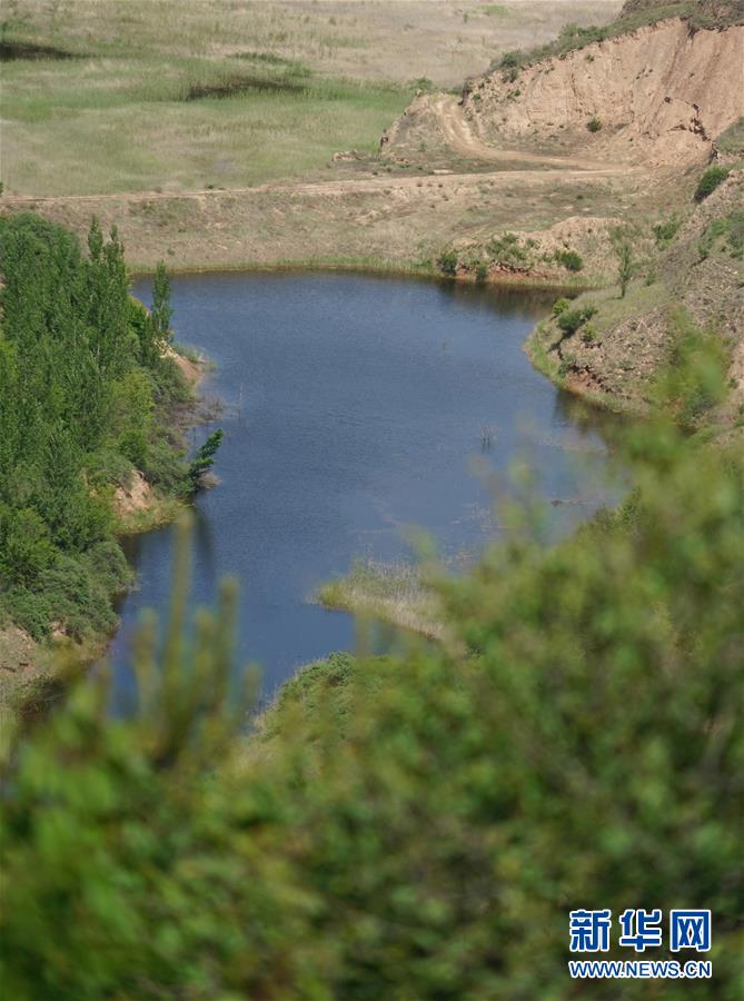 （壯闊東方潮 奮進新時代&mdash;&mdash;慶祝改革開放40年）（6）退耕還林20年 延安大地譜新篇