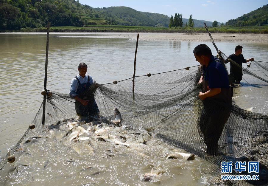 （壯闊東方潮 奮進(jìn)新時(shí)代&mdash;&mdash;慶祝改革開(kāi)放40年）（15）退耕還林20年 延安大地譜新篇