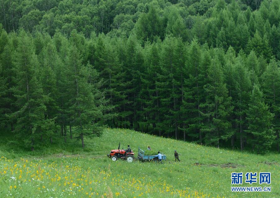 （壯闊東方潮 奮進(jìn)新時(shí)代&mdash;&mdash;慶祝改革開放40年）（4）美麗中華大地書寫綠色傳奇