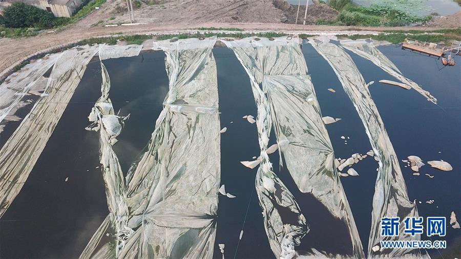 （新華視點&middot;圖文互動）（4）中央督察兩年有的絲毫未改，有的不減反增&mdash;&mdash;江蘇泰興數(shù)萬噸化工廢料和污泥堆放長江邊調查