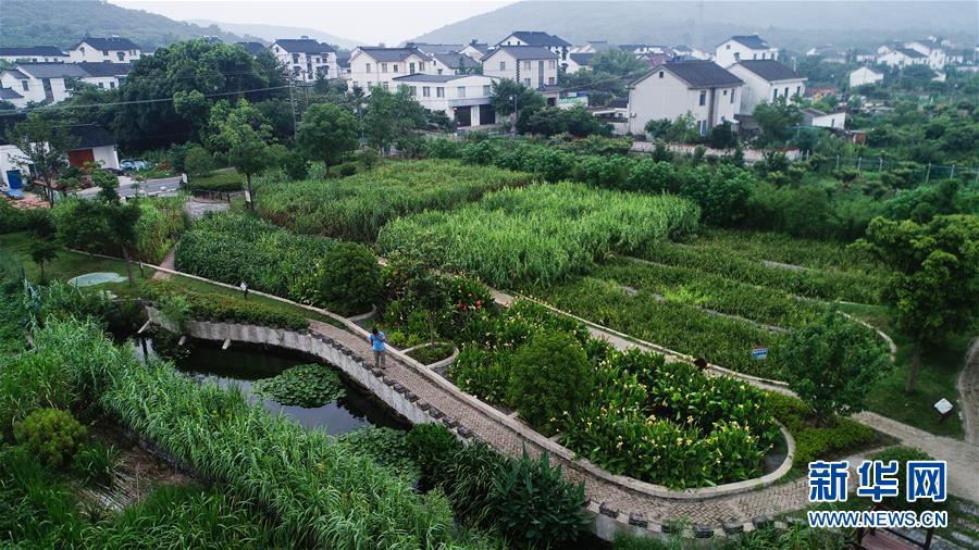 （在習(xí)近平新時代中國特色社會主義思想指引下&mdash;&mdash;新時代新作為新篇章&middot;圖文互動）（1）稀奇！治污濕地成了休閑公園&mdash;&mdash;江蘇蘇州全域推進(jìn)農(nóng)村生活污水治理