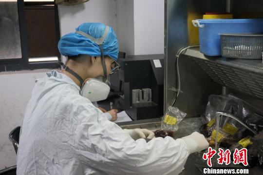 走進(jìn)病理科醫(yī)生:爭分奪秒“戰(zhàn)斗”的醫(yī)院“法官”