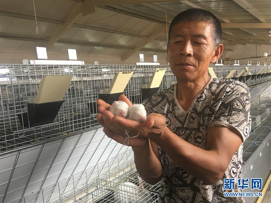 （新華全媒頭條&middot;在習(xí)近平新時(shí)代中國特色社會主義思想指引下&mdash;&mdash;新時(shí)代新作為新篇章&middot;圖文互動）（10）綠富同興畫卷在沙海中鋪展&mdash;&mdash;庫布其沙漠生態(tài)治理紀(jì)實(shí)