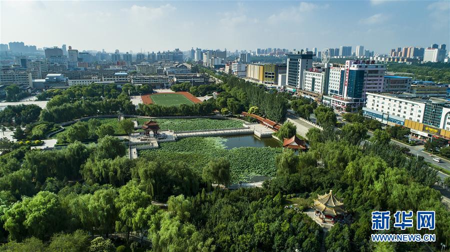 （壯闊東方潮 奮進(jìn)新時代&mdash;&mdash;慶祝改革開放40年）（2）感受&ldquo;毛烏素&rdquo;的生機(jī)