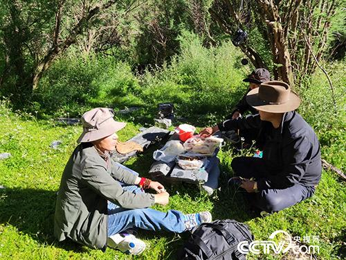 長途跋涉途中休息。