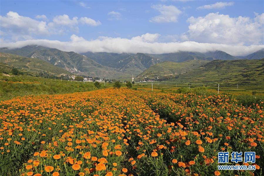 (新華全媒頭條·圖文互動)(8)中國扶貧的西海固答卷——寧夏奮進60年巡禮之脫貧攻堅篇