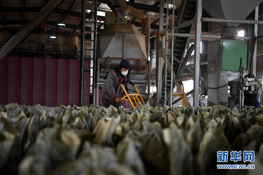 （在習(xí)近平新時代中國特色社會主義思想指引下&mdash;&mdash;新時代新氣象新作為&middot;鄉(xiāng)村振興戰(zhàn)略&middot;圖文互動）（1）&ldquo;與其放火，不如打包&rdquo;&mdash;&mdash;山西渾源秸稈綜合再利用見聞