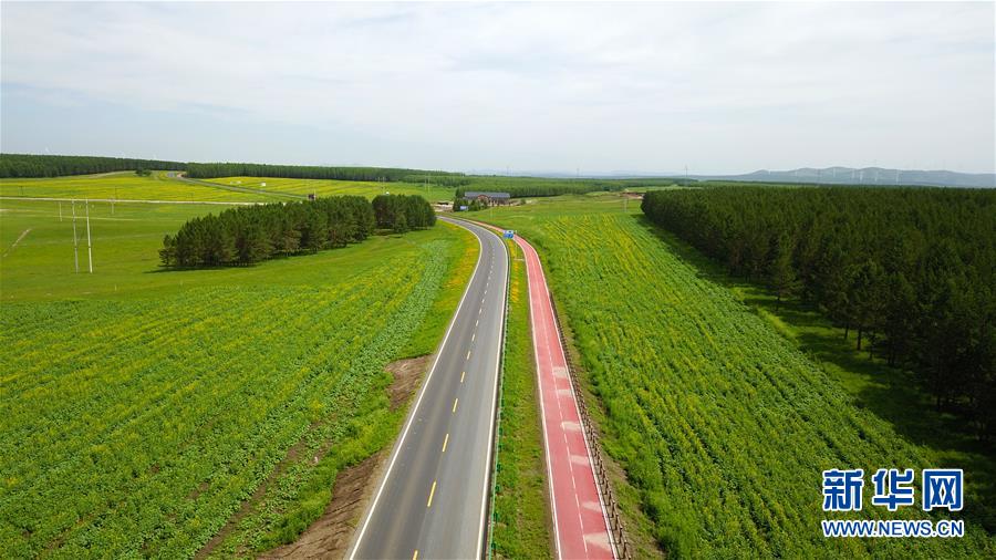 （新華全媒頭條&middot;圖文互動）（4）那一抹綠色，走進越來越多人心里&mdash;&mdash;河北塞罕壩續(xù)寫新時代綠色傳奇