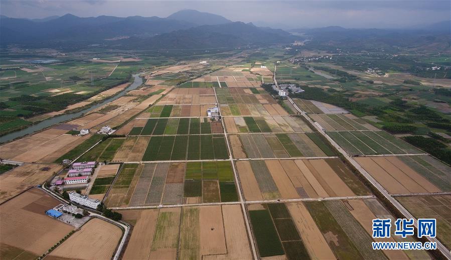 (百城百縣百企調(diào)研行·圖文互動(dòng))(1)海南農(nóng)墾:農(nóng)業(yè)“國家隊(duì)”打贏改革“翻身仗”
