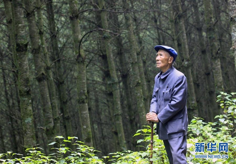 (改革先鋒風(fēng)采·圖文互動)(1)楊善洲:綠了荒山造福百姓的“草鞋書記”