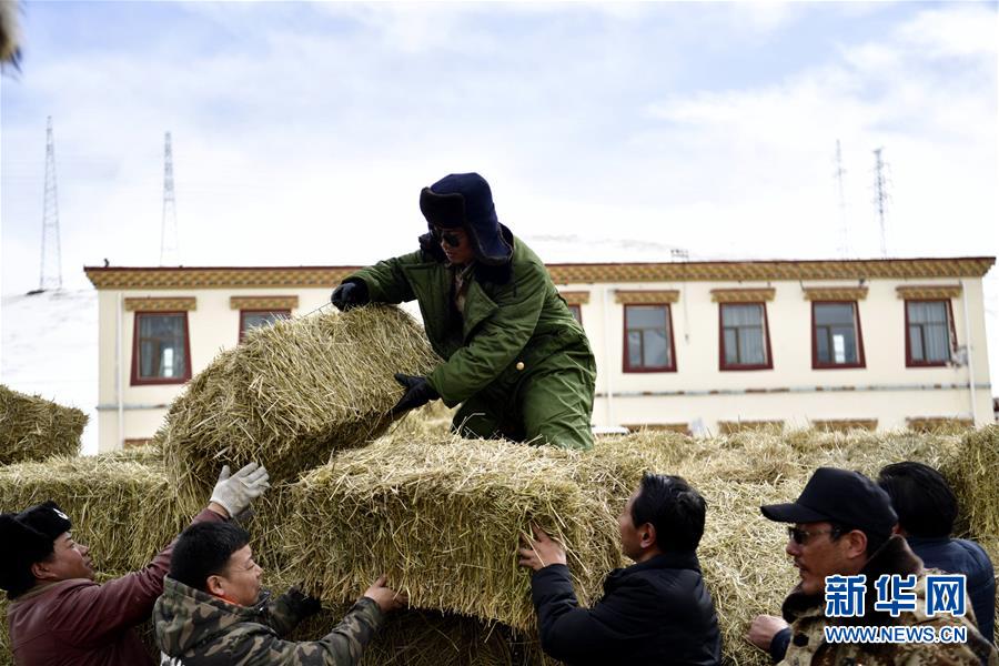 (新華全媒頭條·圖文互動)(5)風雪中傳遞溫暖的力量——記青海干部群眾抗擊玉樹雪災(zāi)