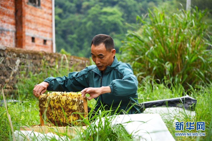 (兩會前夕看落實·圖文互動)(7)奮力脫貧攻堅 生態(tài)追“清”逐“綠”——江西落實習近平總書記全國兩會重要講話精神紀實