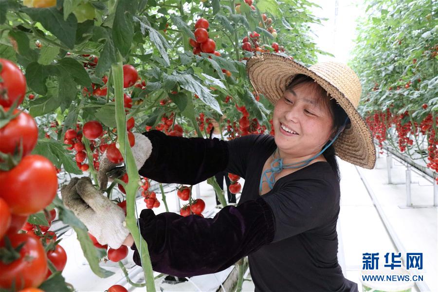 (兩會前夕看落實·圖文互動)(8)奮力脫貧攻堅 生態(tài)追“清”逐“綠”——江西落實習近平總書記全國兩會重要講話精神紀實