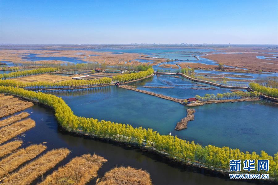 （新華全媒頭條&middot;圖文互動）（5）奮進，向著未來之城！&mdash;&mdash;河北雄安新區(qū)建設發(fā)展兩周年紀實