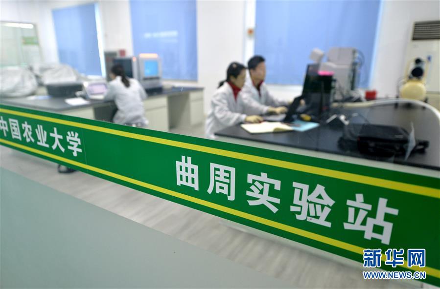 （愛國情 奮斗者&middot;圖文互動(dòng)）（3） &ldquo;解民生之多艱，育天下之英才&rdquo;&mdash;&mdash;中國農(nóng)大師生扎根田野書寫奉獻(xiàn)之歌