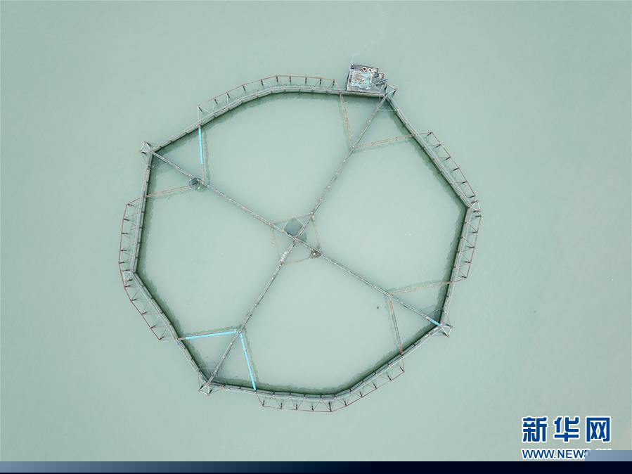 （壯麗70年&middot;奮斗新時代&middot;圖文互動）（5）&ldquo;東海明珠&rdquo;挺立一座&ldquo;精神燈塔&rdquo;&mdash;&mdash;追尋浙江臺州大陳島墾荒精神