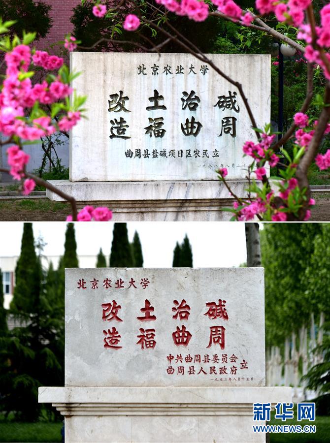 （新華全媒頭條&middot;愛國情 奮斗者&middot;圖文互動）（2）把論文寫在祖國的大地上&mdash;&mdash;中國農(nóng)業(yè)大學(xué)46年扎根河北曲周服務(wù)鄉(xiāng)村振興紀(jì)實