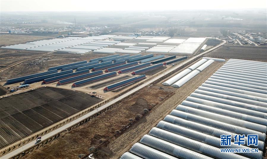 (在習(xí)近平新時代中國特色社會主義思想指引下——新時代新作為新篇章·圖文互動)(3)“無人作業(yè)”來臨 綠色食品“當(dāng)家”——黑龍江探索現(xiàn)代農(nóng)業(yè)發(fā)展路徑